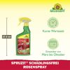 Rosenspray 'Spruzit' 750 ml