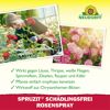 Rosenspray 'Spruzit' 750 ml