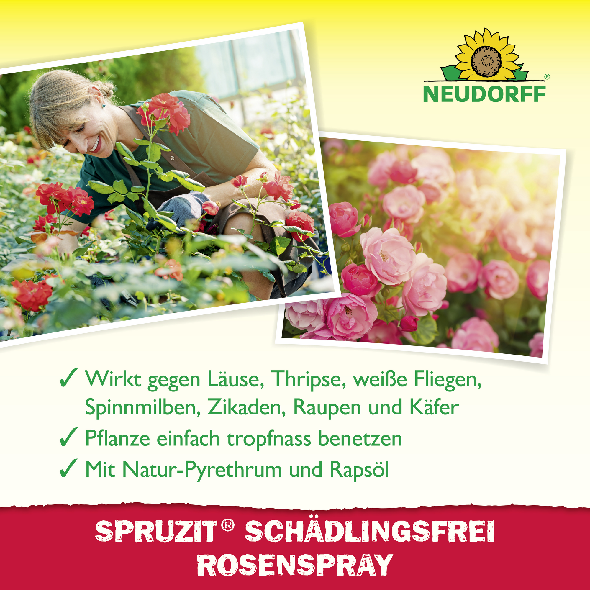 Rosenspray 'Spruzit' 750 ml