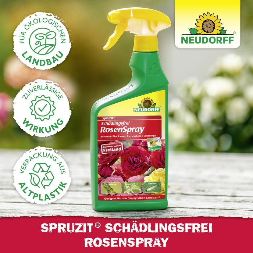 Rosenspray 'Spruzit' 750 ml