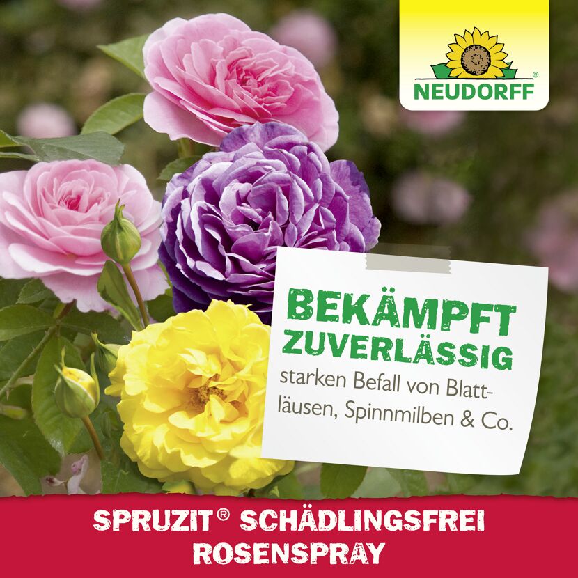 Rosenspray 'Spruzit' 750 ml
