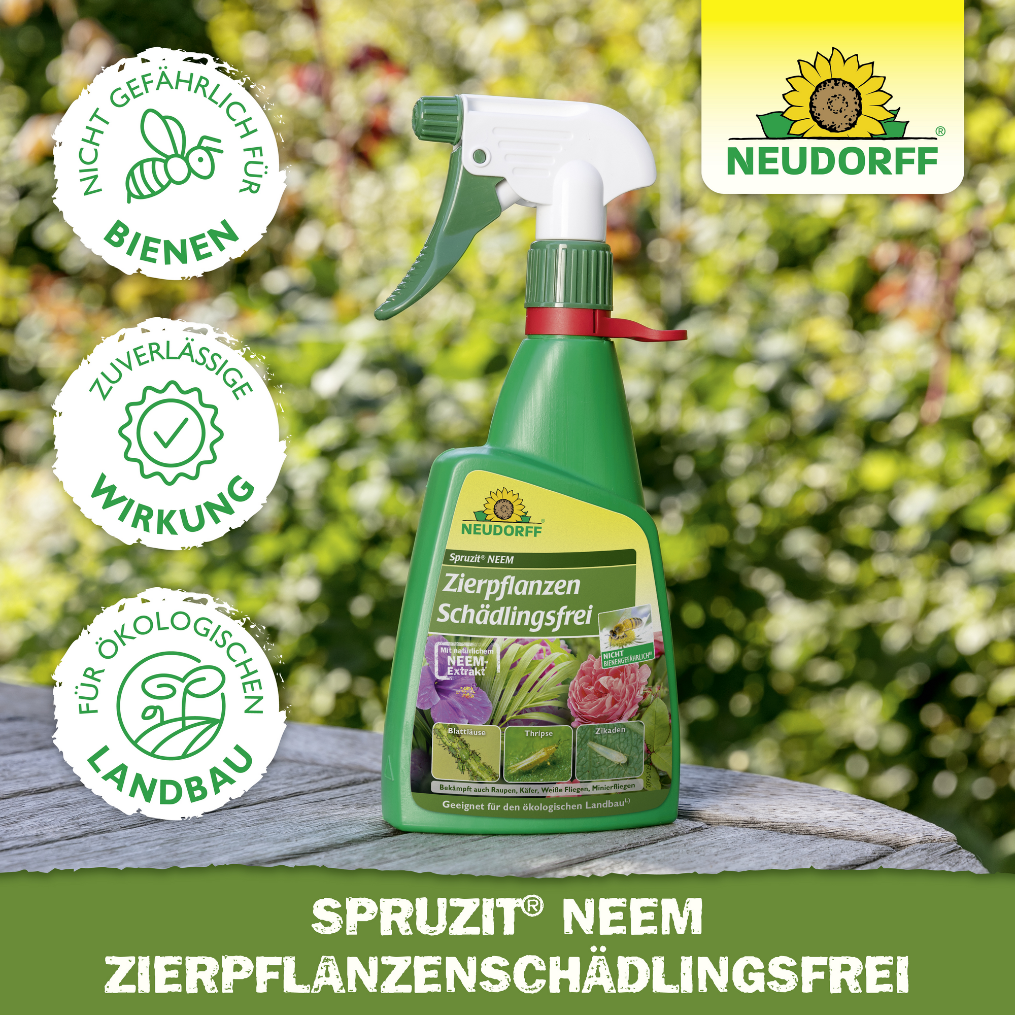 Insektizid 'Spruzit' Zierpflanzen-Schädlingsfrei 450 ml