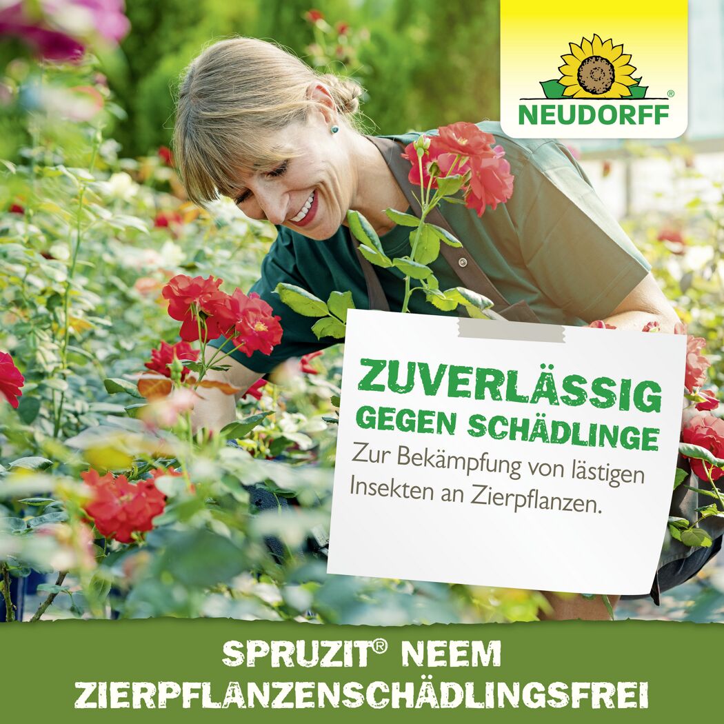 Insektizid 'Spruzit' Zierpflanzen-Schädlingsfrei 450 ml