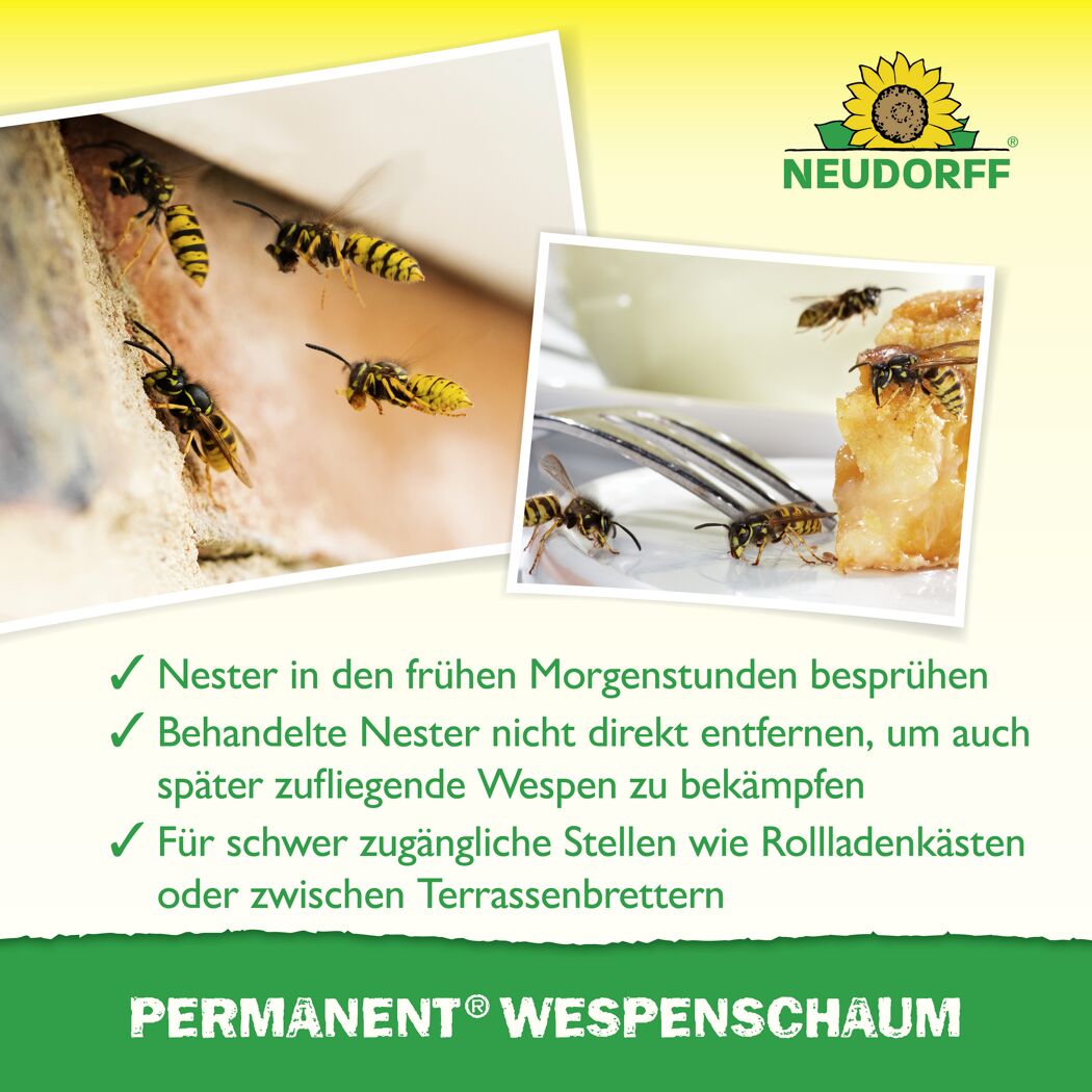 Wespenschaum 'Permanent' 500 ml