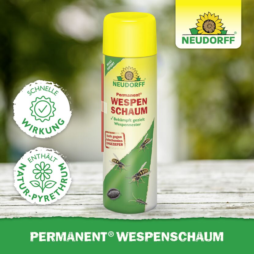 Wespenschaum 'Permanent' 500 ml
