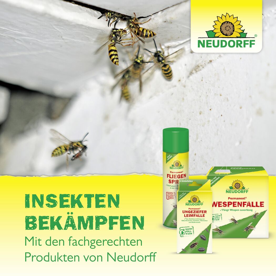 Wespenschaum 'Permanent' 500 ml