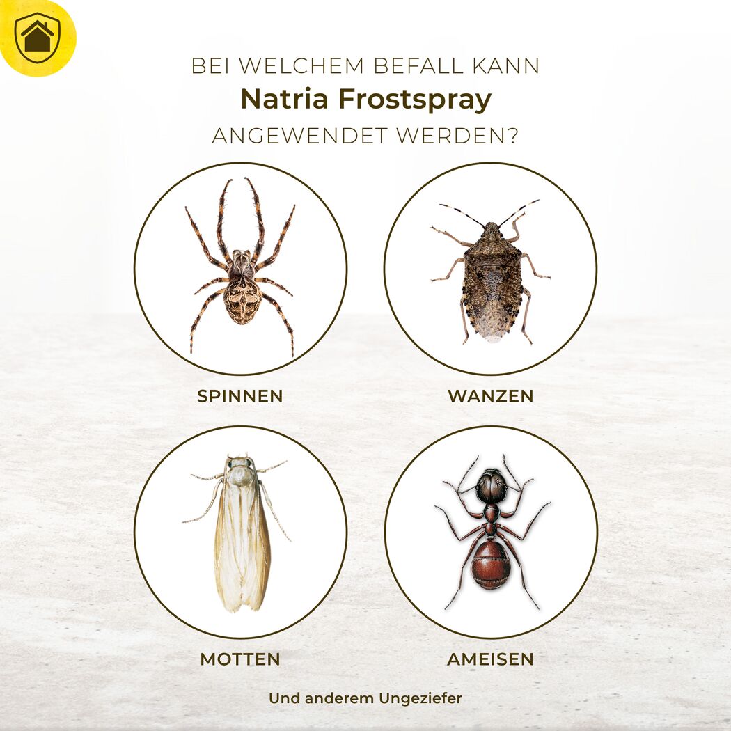 Natria Frostspray gegen Spinnen, Wanzen, Motten, Ameisen und anderes Ungeziefer