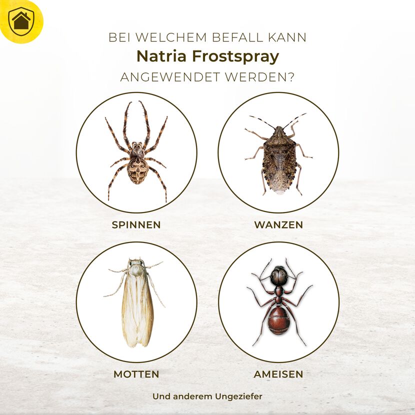Natria Frostspray gegen Spinnen, Wanzen, Motten, Ameisen und anderes Ungeziefer