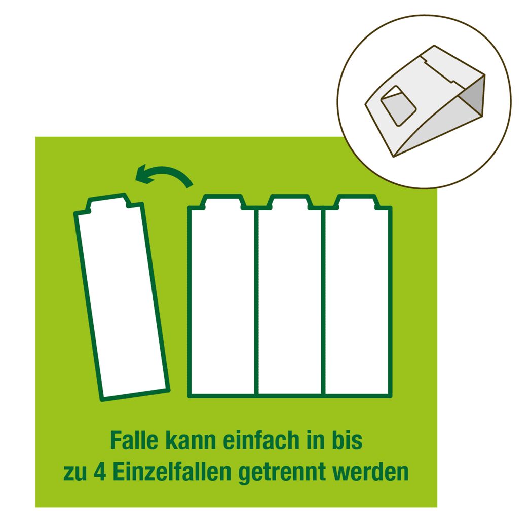 Klebefalle, 4 Stück, einzeln trennbar