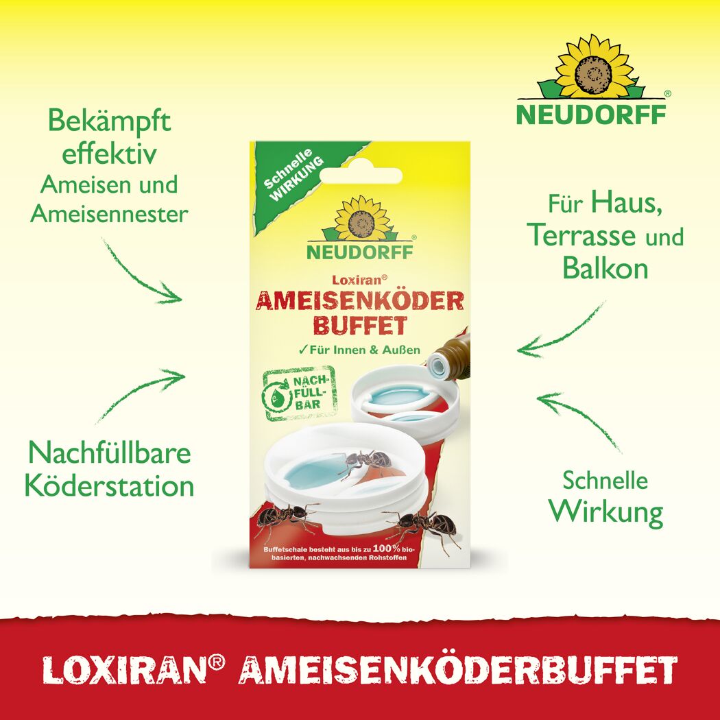 Loxiran Ameisenköderbuffet 2 Stück