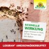 Loxiran Ameisenköderbuffet 2 Stück