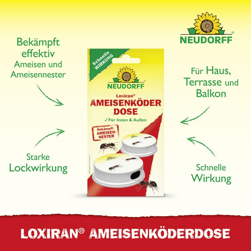 Loxiran Ameisenköderdose 2 Stück