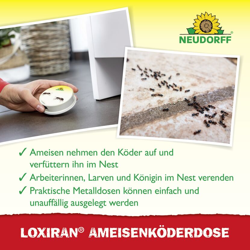 Loxiran Ameisenköderdose 2 Stück