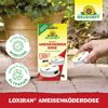 Loxiran Ameisenköderdose 2 Stück