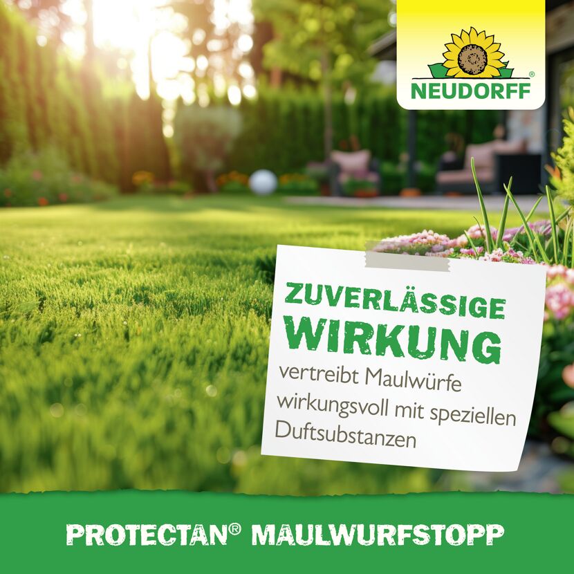 Protectan Maulwurfstopp 200 g
