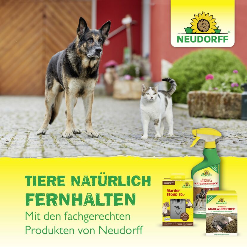 Protectan Maulwurfstopp 200 g