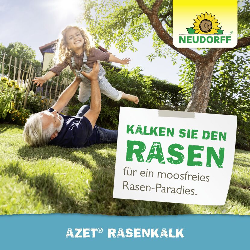 Rasenkalk 'Azet' 10 kg