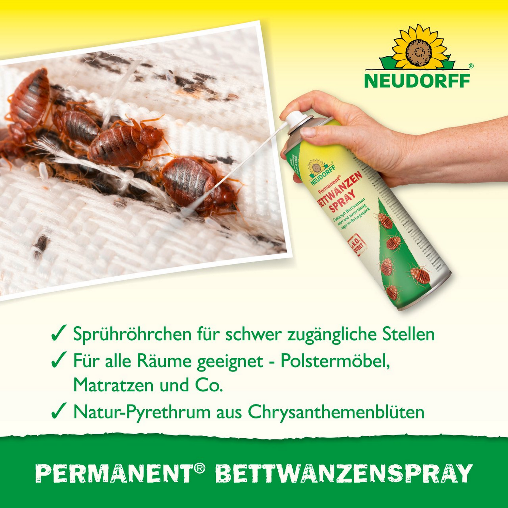 BettwanzenSpray 'Permanent' 500 ml