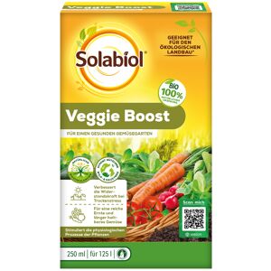 Veggie Boost 250 ml