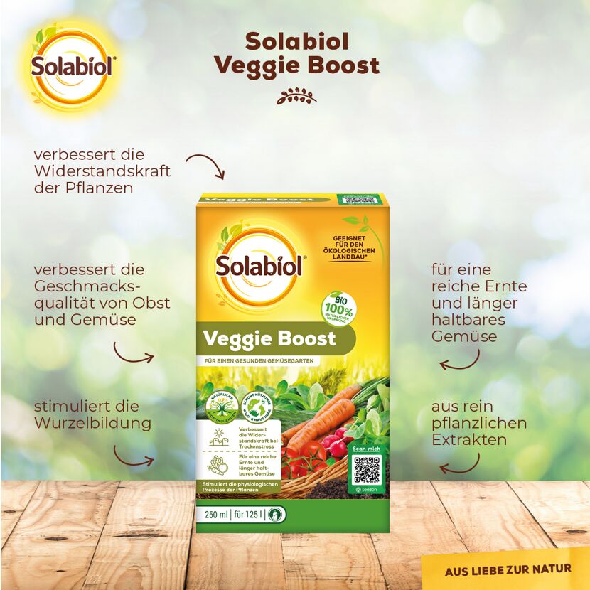 Veggie Boost 250 ml