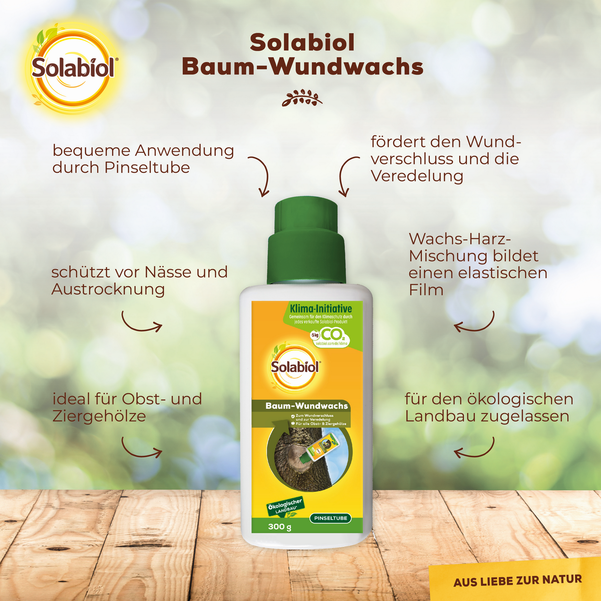 Baum-Wundwachs 300 g in Pinseltube