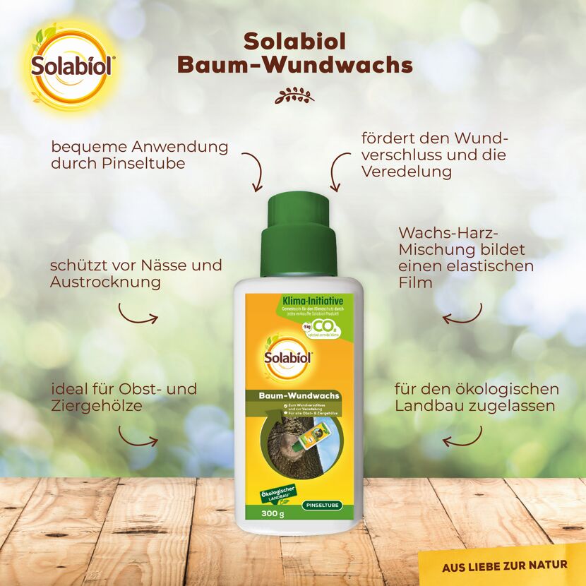 Baum-Wundwachs 300 g in Pinseltube
