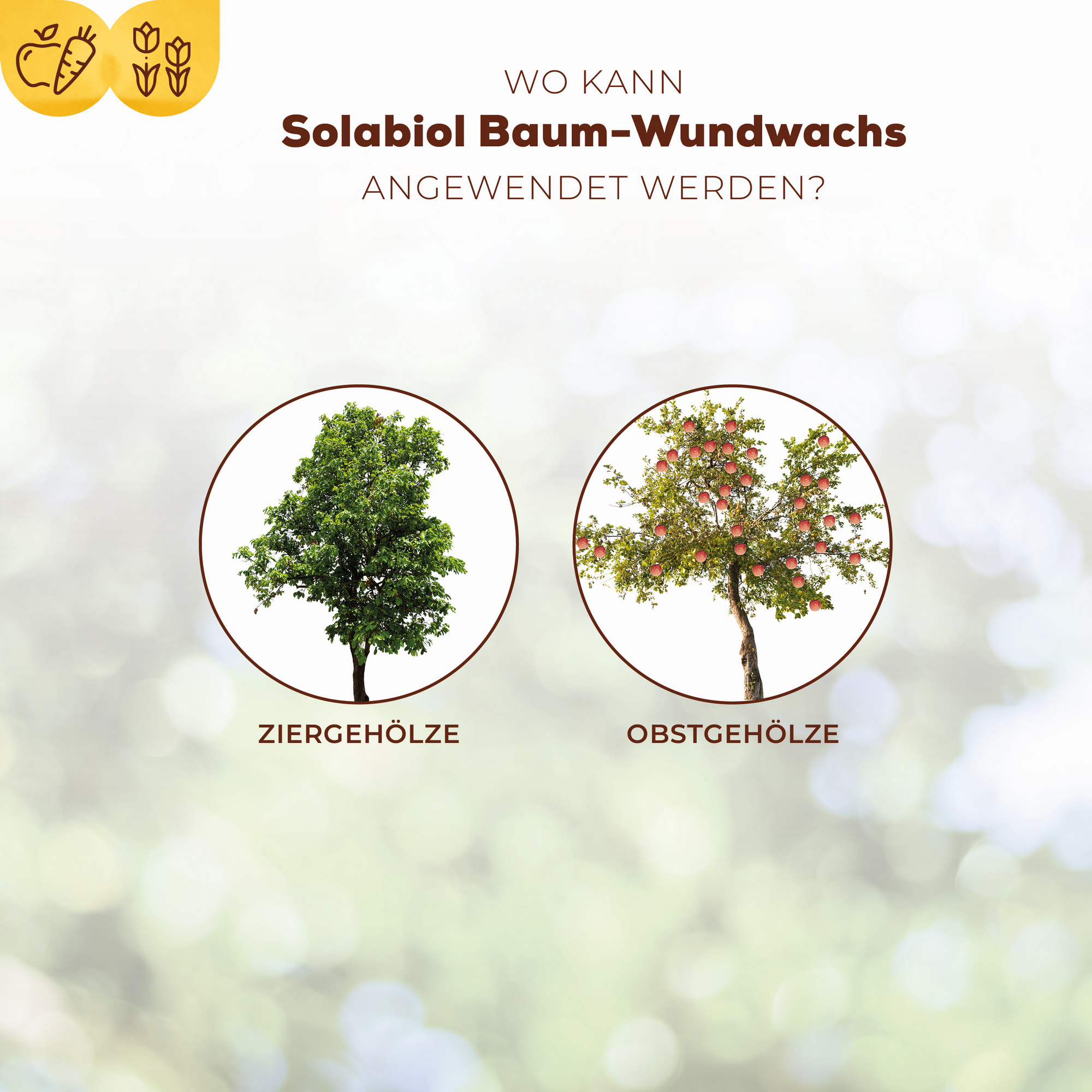 Baum-Wundwachs 300 g in Pinseltube