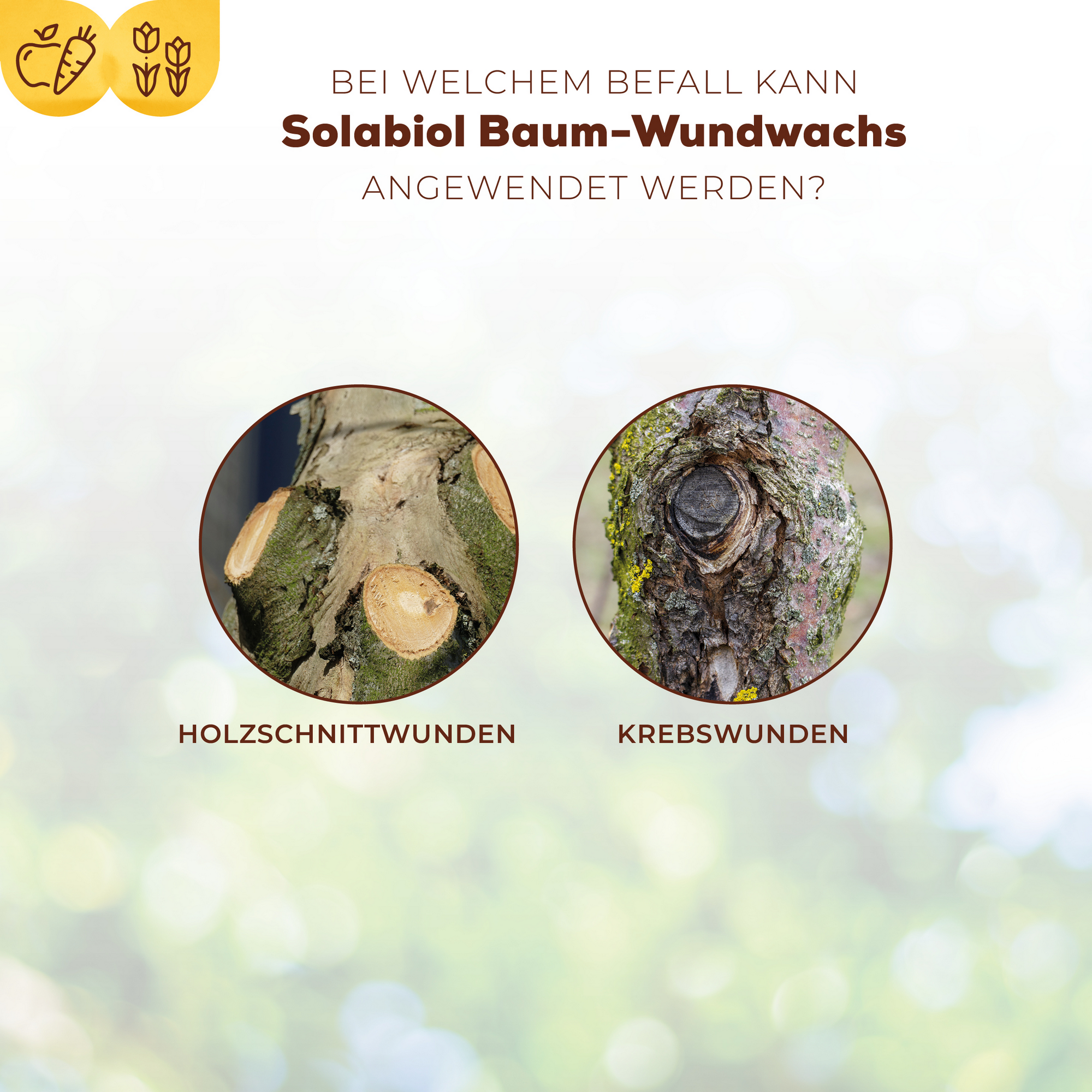 Baum-Wundwachs 300 g in Pinseltube