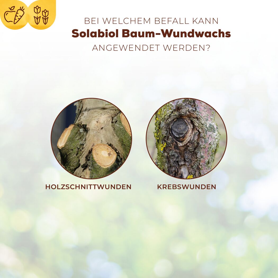 Baum-Wundwachs 300 g in Pinseltube