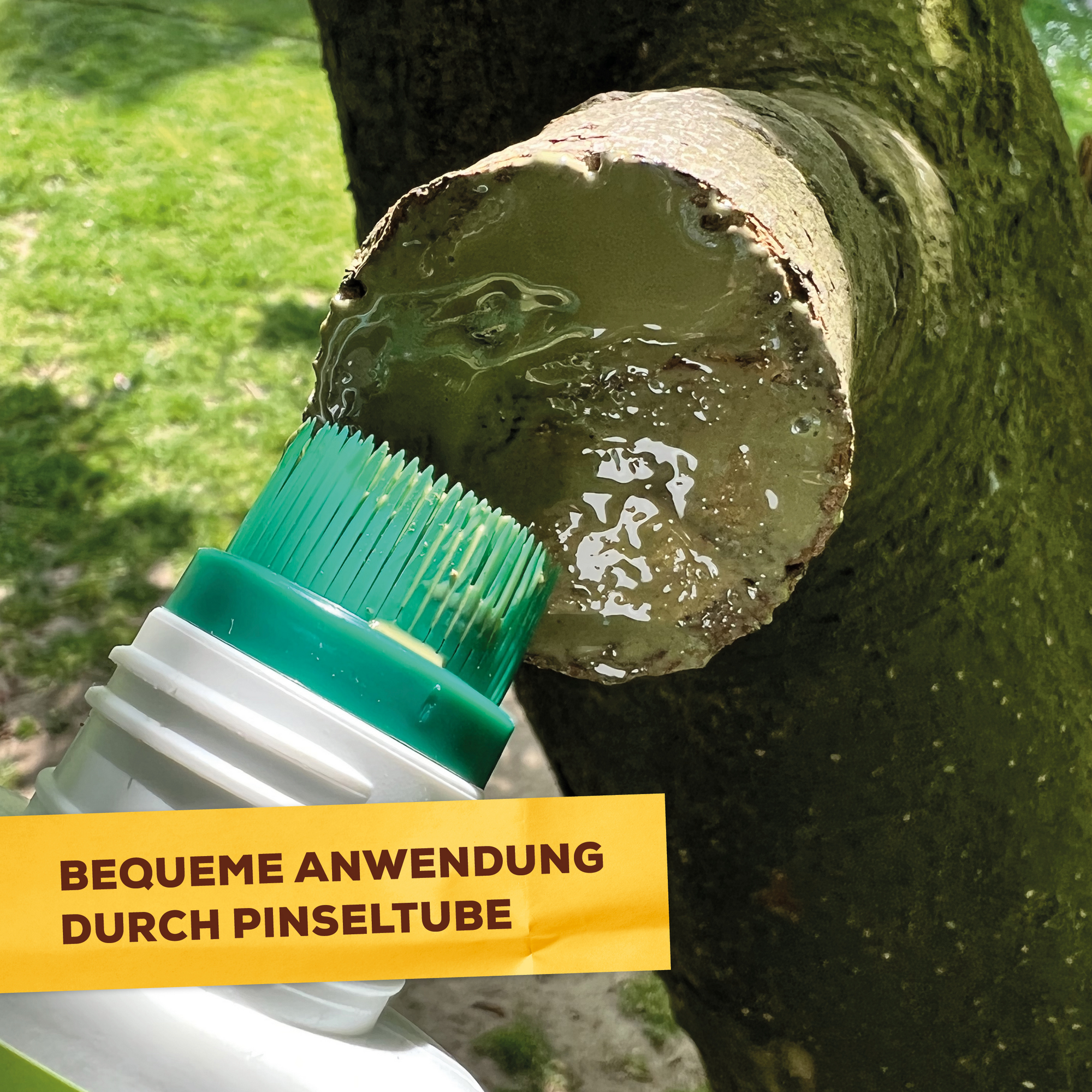 Baum-Wundwachs 300 g in Pinseltube