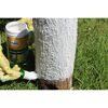 Baum Anstrich weiß 1,5 kg