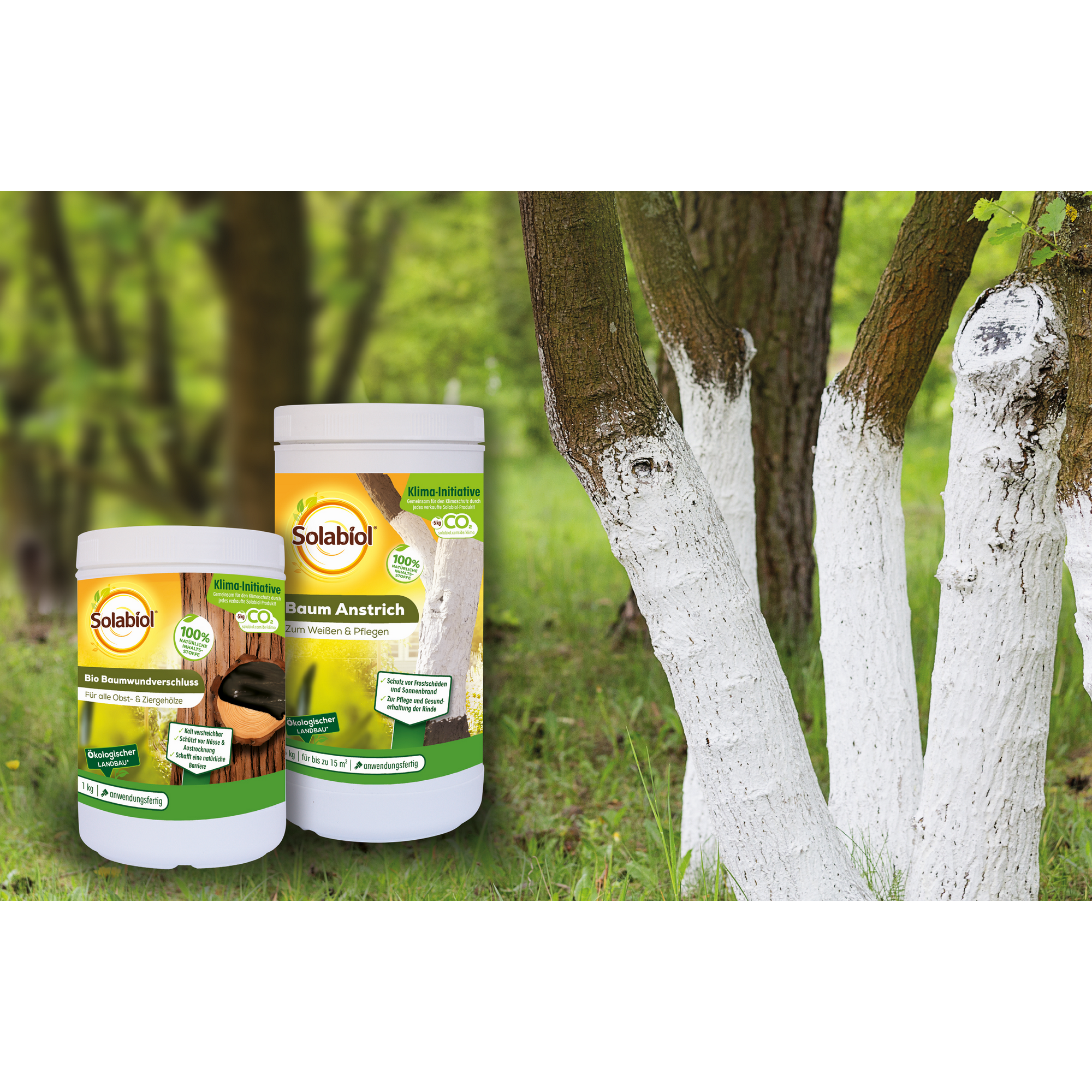 Baum Anstrich weiß 1,5 kg