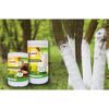 Baum Anstrich weiß 1,5 kg