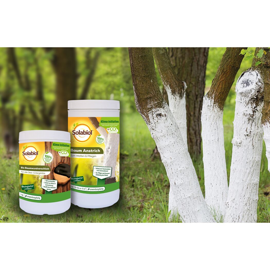 Baum Anstrich weiß 1,5 kg