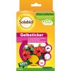 Gelbsticker gegen fliegende Schädlinge