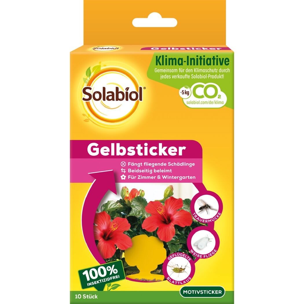Gelbsticker gegen fliegende Schädlinge