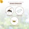 Drei Insekten: Trauermücke, Weiße Fliege, Geflügelte Blattlaus