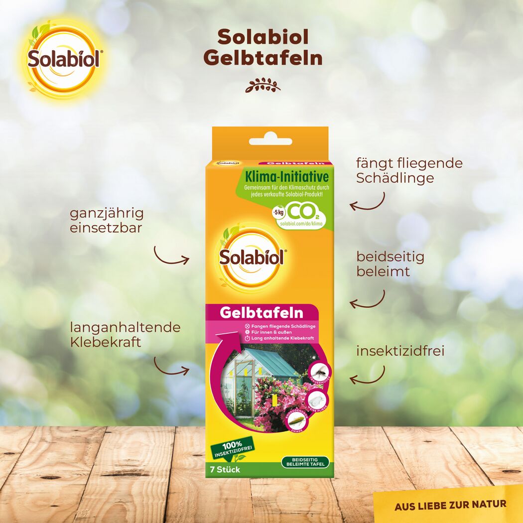 Gelbtafeln gegen Schädlinge