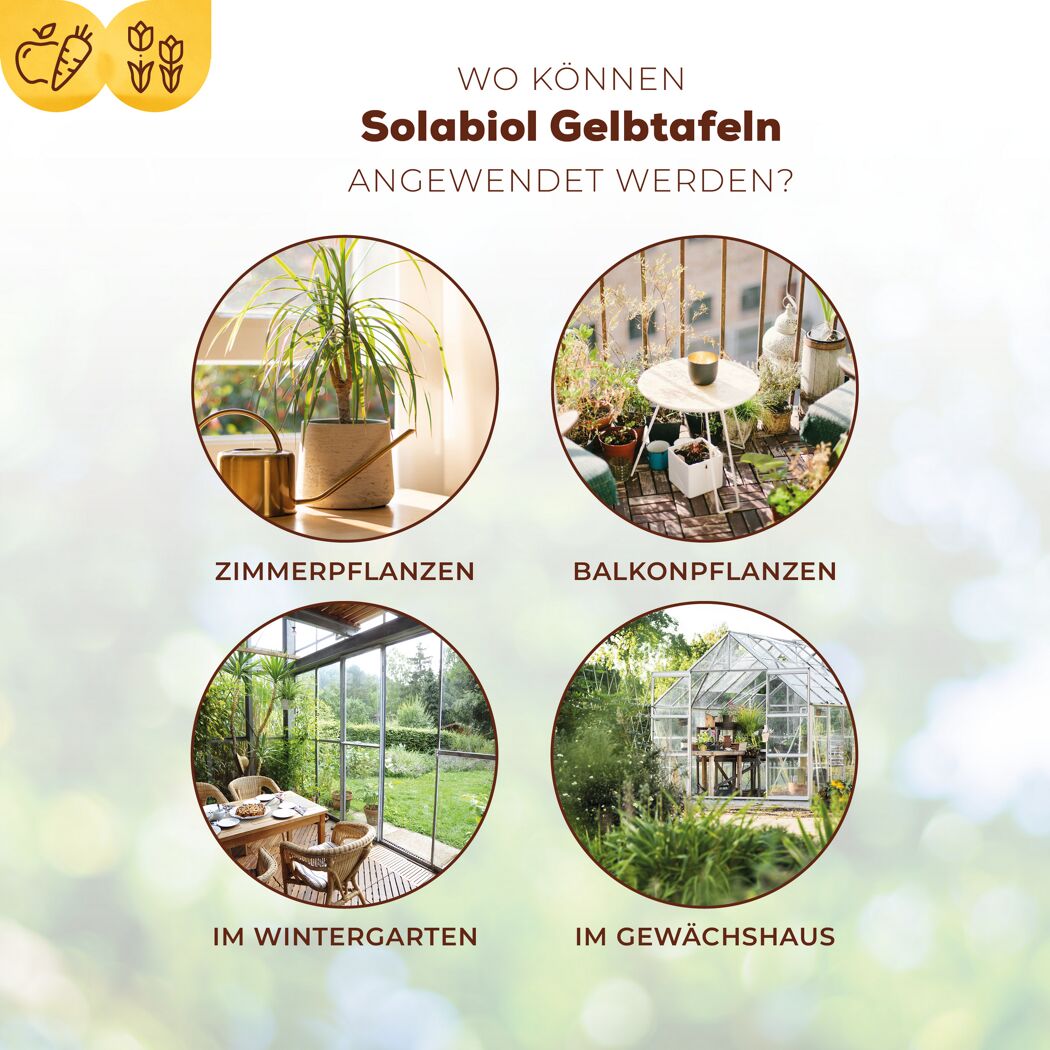 Gelbtafeln für Zimmer-, Balkonpflanzen, Wintergarten und Gewächshaus