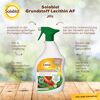 Grundstoff Lecithin Spray 1 l zur Abwehr von Pilzkrankheiten