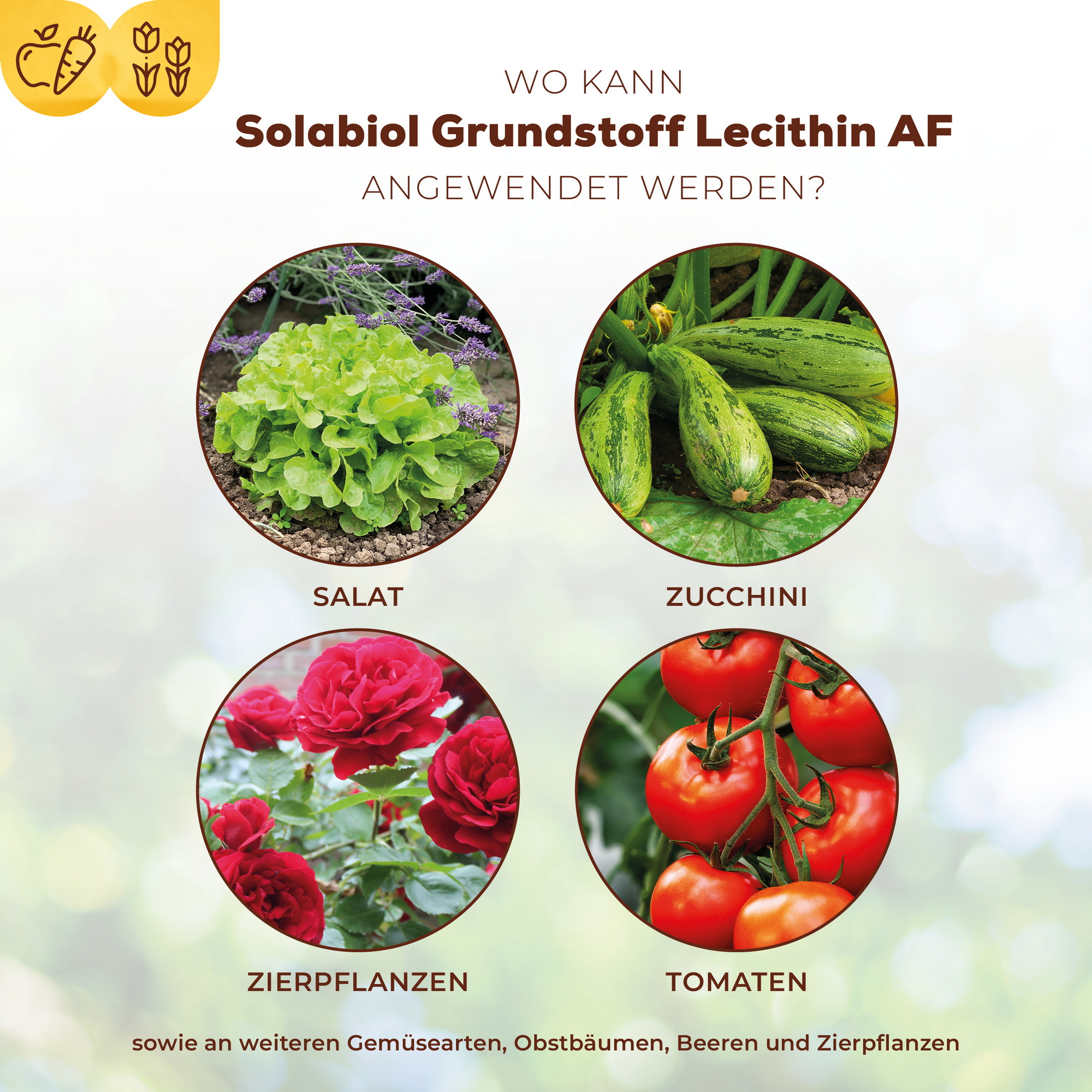 Grundstoff Lecithin Spray 1 l zur Abwehr von Pilzkrankheiten