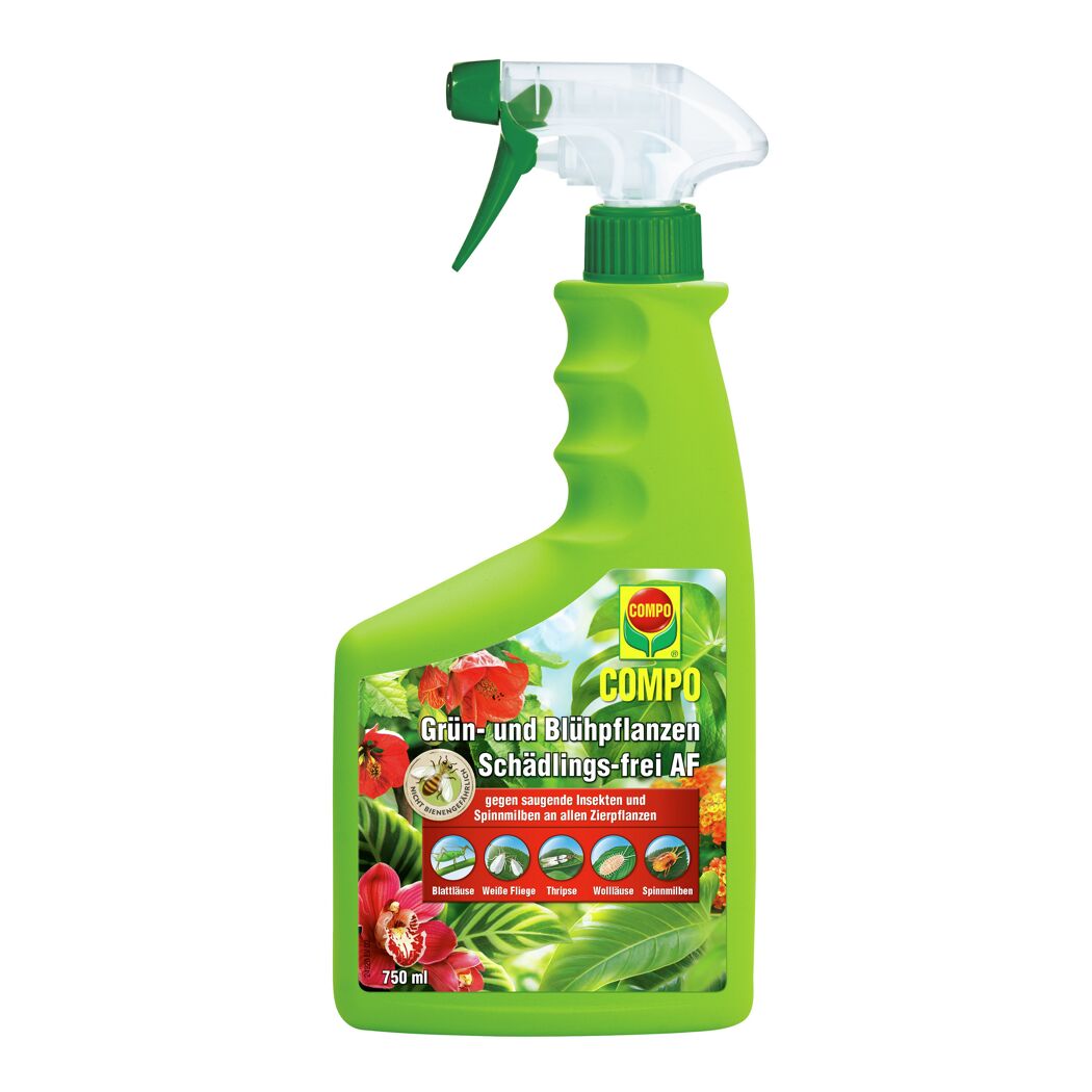 COMPO Grün- und Blühpflanzen Schädlings-frei AF Sprühflasche