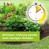 Unkraut- und Wurzel-Ex 'Permaclean Duo' 500 ml