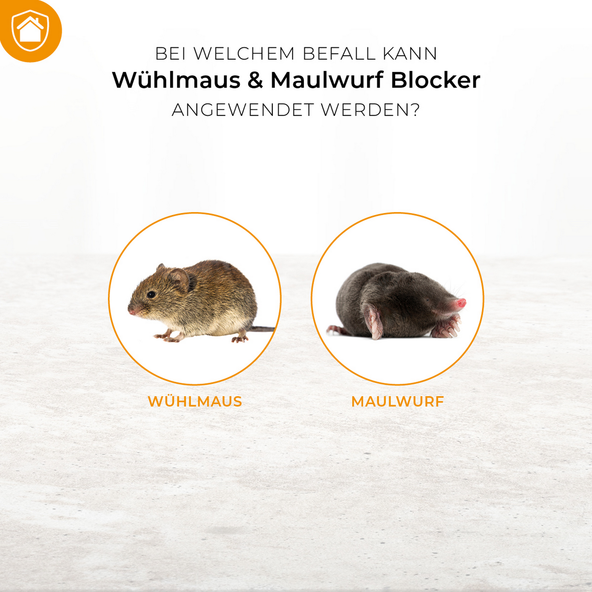 Wühlmaus und Maulwurf Blocker 100 g