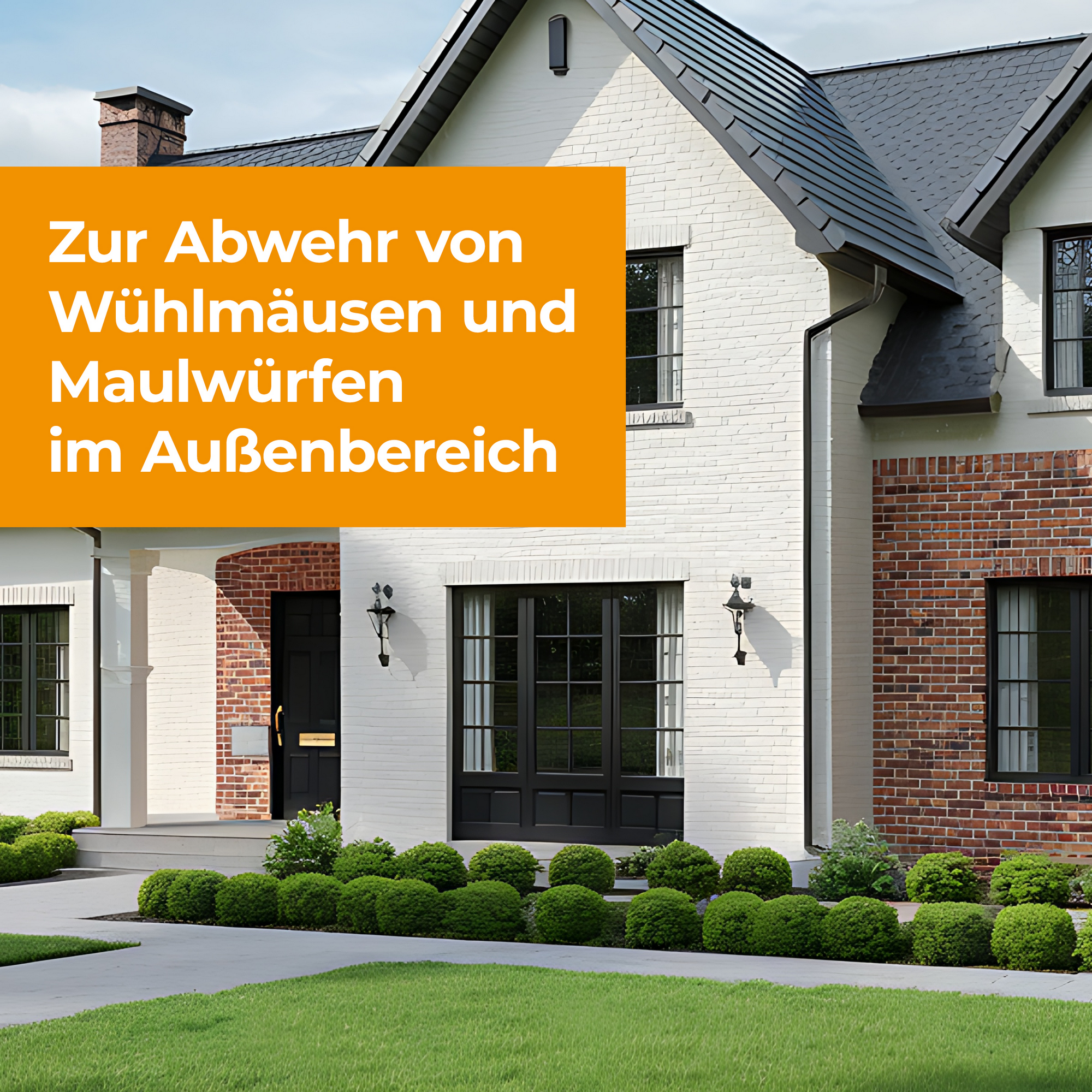 Wühlmaus und Maulwurf Blocker 100 g