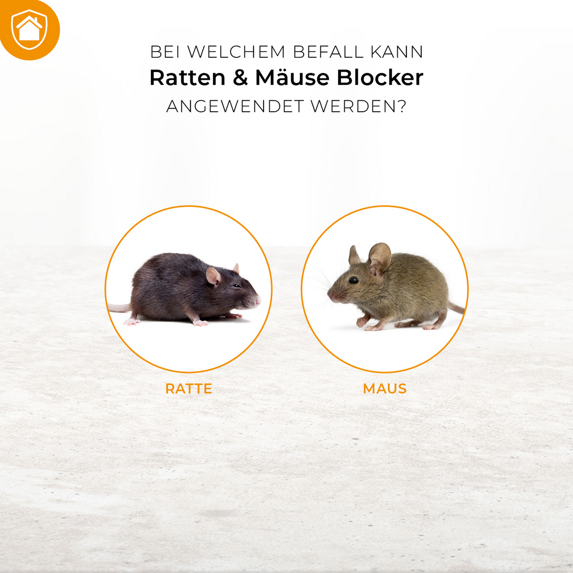 Ratten und Mäuse Blocker 300 g