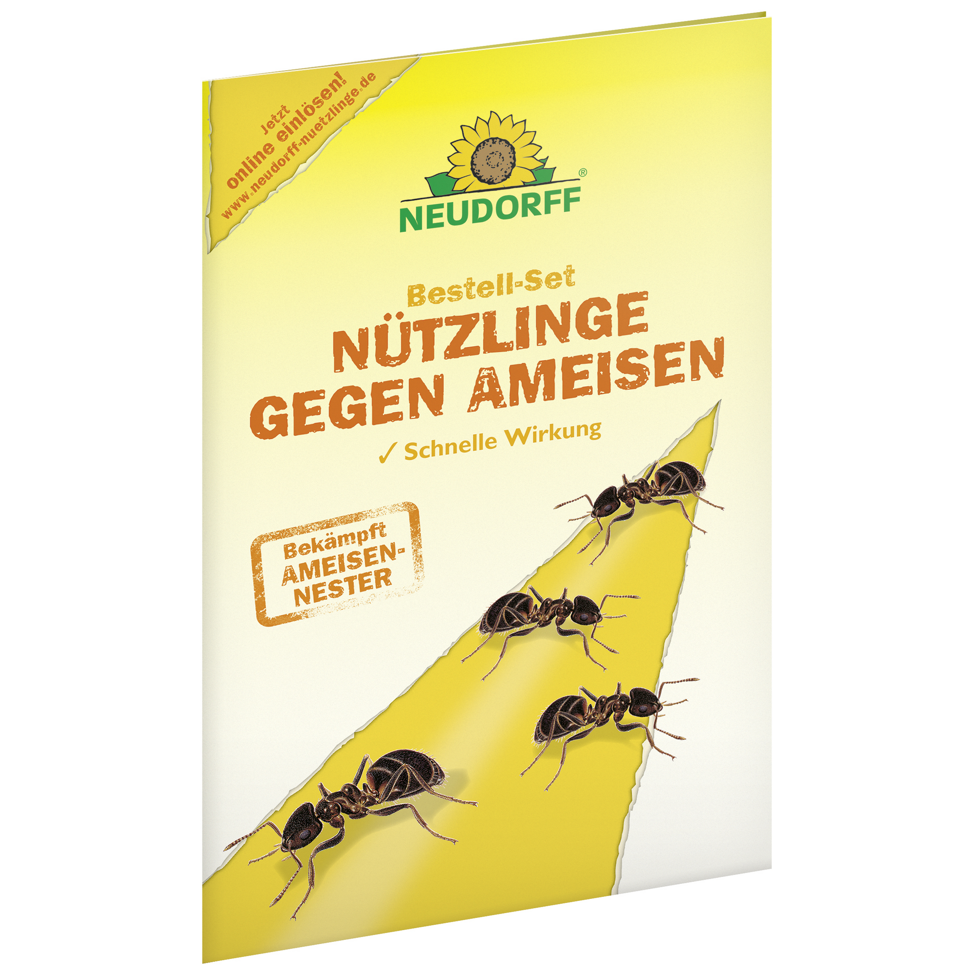 Bestell-Set 'Nützlinge gegen Ameisen' + product picture