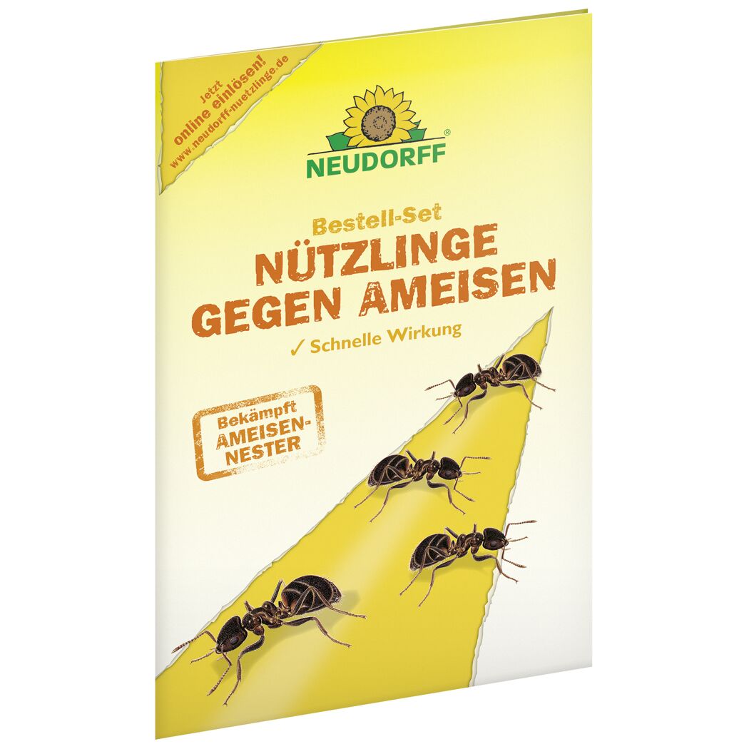 Bestell-Set Nützlinge gegen Ameisen