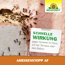Ameisenstopp AF 500 ml
