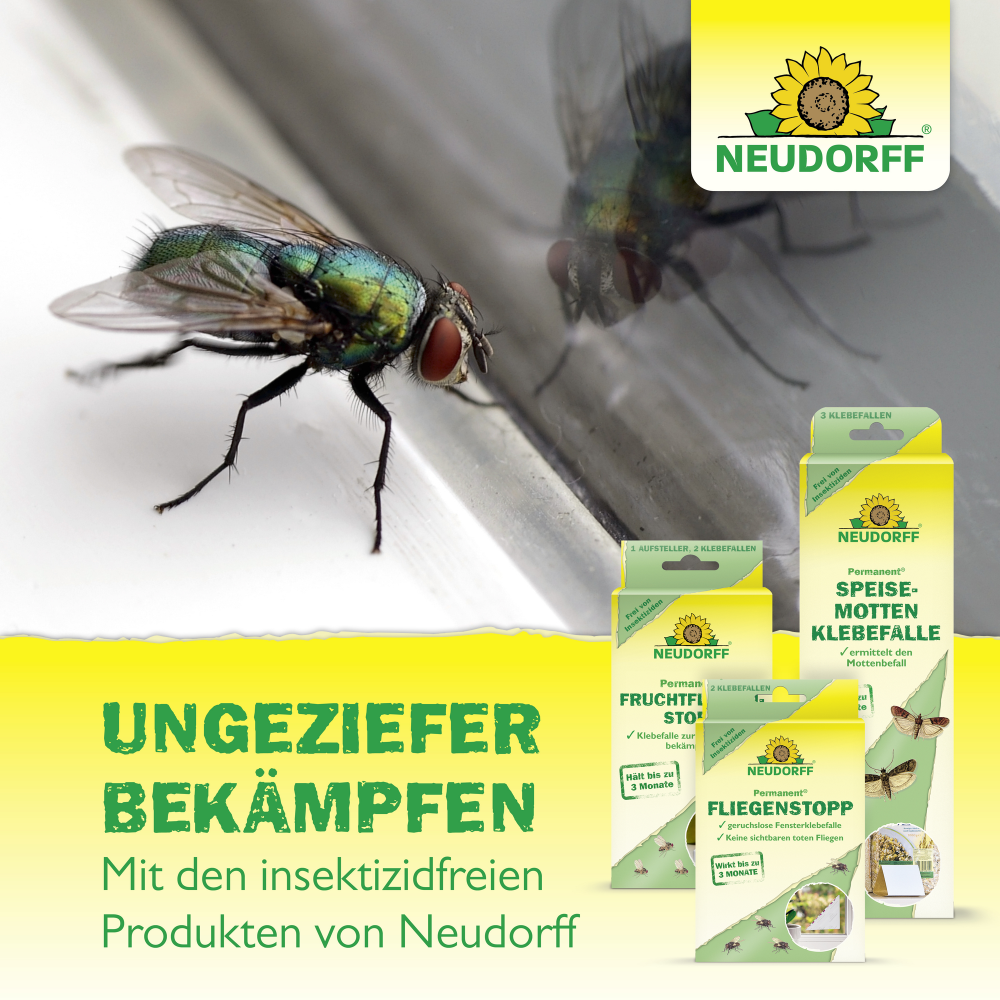 Permanent Fliegenstopp 2 Stück